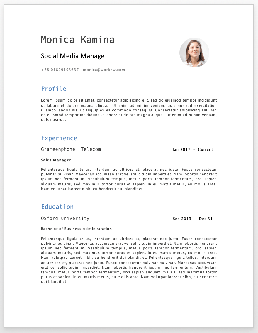 remote work from home resume sample