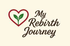 My Rebirth Journey